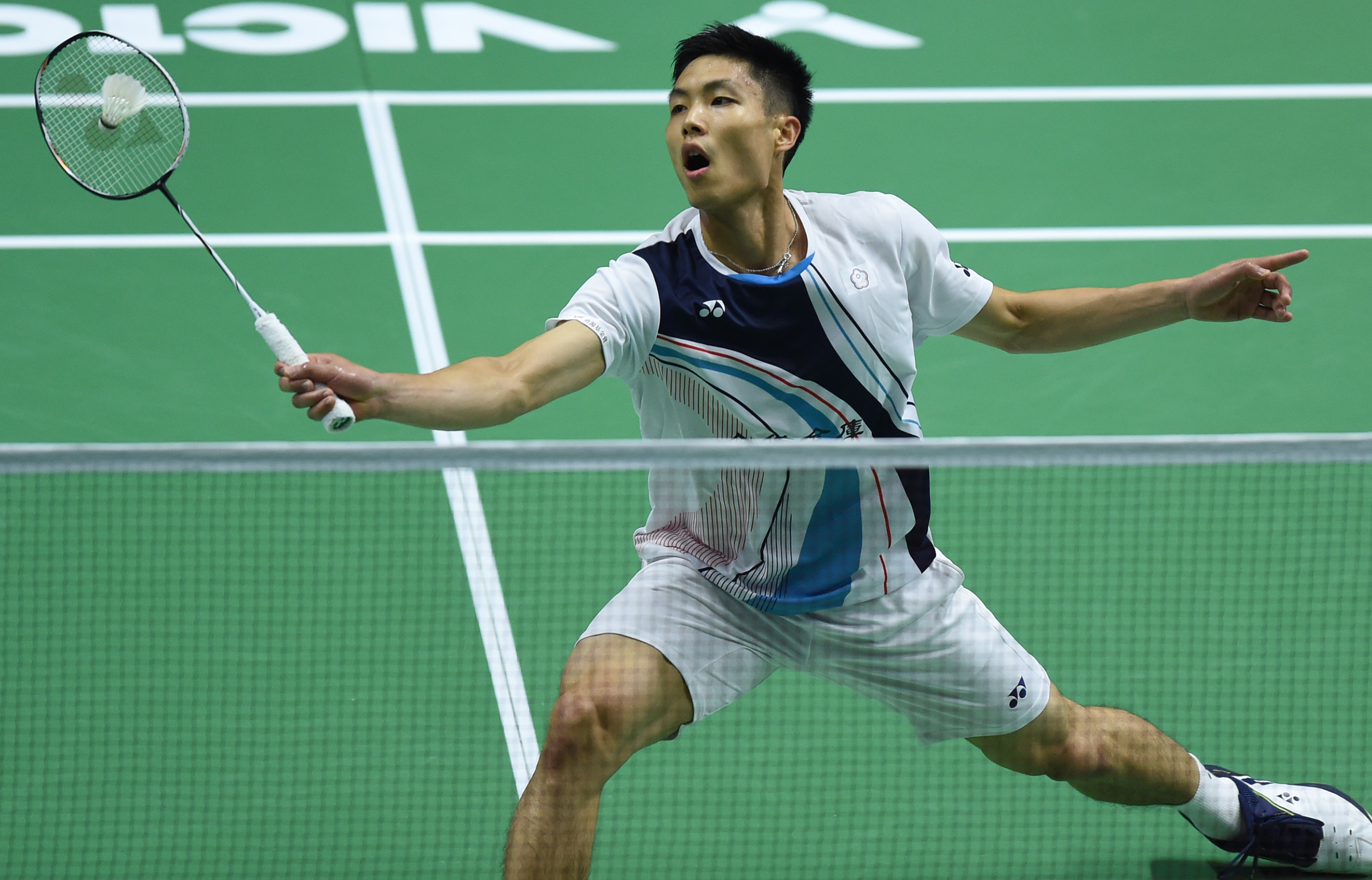 阿莱克斯 阿莱克斯